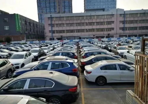 汽車廠賣不出的庫存車，最終流向何方？購車者須知